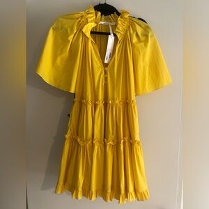 Charina Sarte Mini Dress